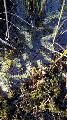 20170905_115954 (Copy)